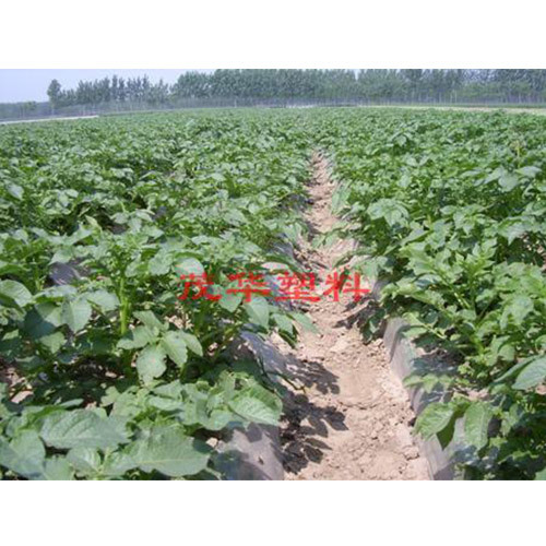 美亦随芯-除菌清洁日用品